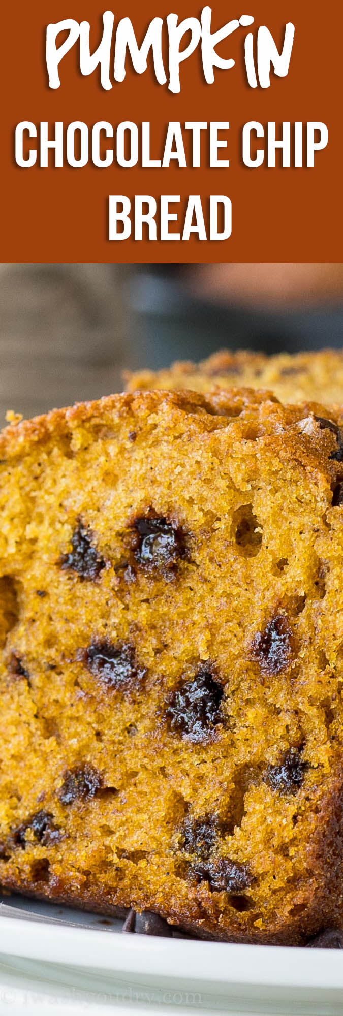 This Pumpkin Chocolate Chip Loaf makes for a perfect holiday gift! So moist and perfectly sweetened with that pumpkin pie spice!