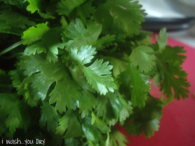 A close up of a bunch of cilantro. 