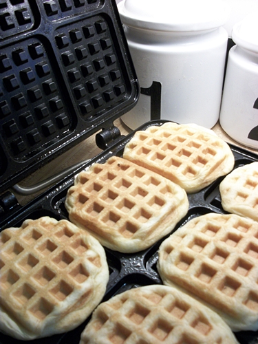 Waffles made from refrigerator biscuits on a waffle griddle 