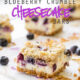 These Blueberry Crumble Cheesecake Bars combine all of my favorites into one super easy dessert recipe! So good!