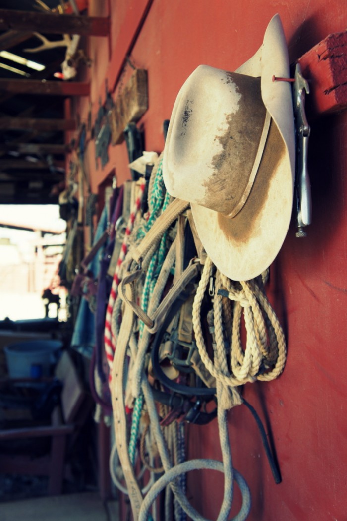 Ranching equipment at Quarter Circle U Ranch in Apache Junction, Arizona