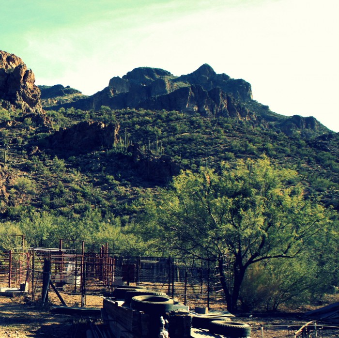 Quarter Circle U Ranch in Apache Junction, Arizona