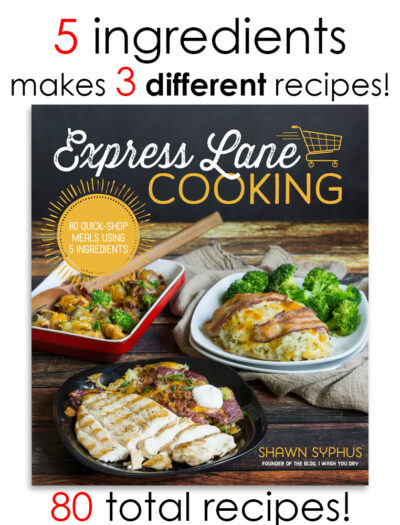 Express Lane Cooking Cookbook by Shawn Syphus of I Wash You Dry