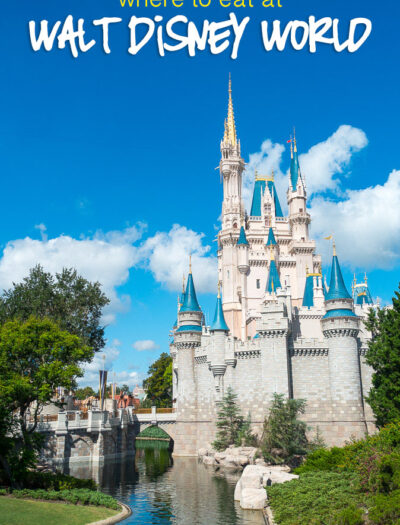 There are a bunch of great tips on where to find some really good eats in this guide of What to Eat at Walt Disney World!