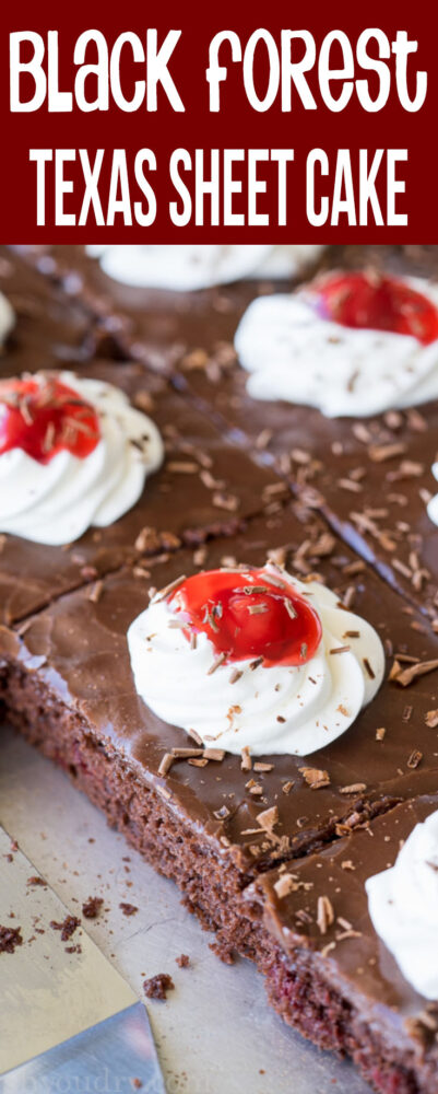 SUPER EASY Black Forest Texas Sheet Cake is filled with cherries and has a smooth chocolate icing on top!