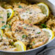 This Lemon Chicken Rice Skillet is all made in ONE PAN and is a super easy and delicious weeknight dinner recipe!