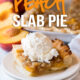 OMG! This Peach Slab Pie is absolutely delicious! It's a like a combination of pie and peach crisp. My family loved it!