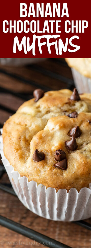 OMG! These super easy Banana Chocolate Chip Muffins are mixed up in just one bowl and ready in about 30 minutes!