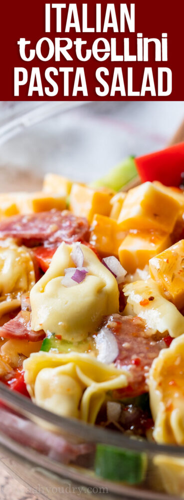 This super quick Italian Tortellini Pasta Salad Recipe is filled with plump tortellini and tossed in a zingy Italian dressing, making it perfect for a summer side dish!