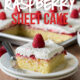 This Vanilla Raspberry Sheet Cake Recipe is a moist vanilla cake topped with raspberry cake filling and a cream cheese whipped frosting. Perfect for feeding a crowd at a party!