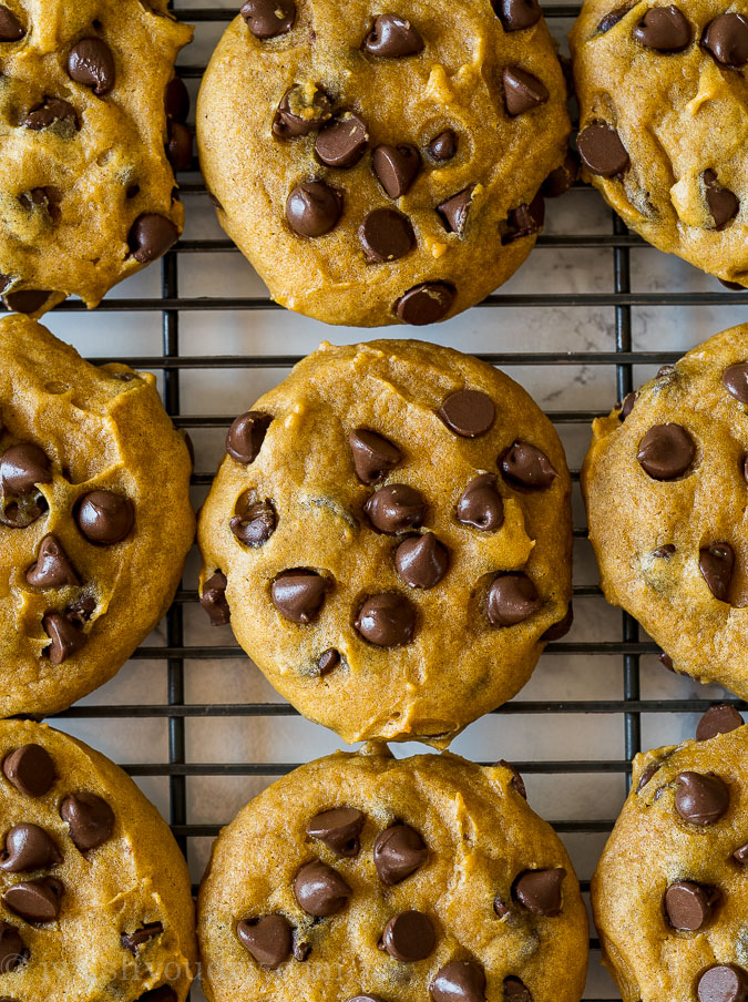 World's BEST Pumpkin Chocolate Chip Cookies