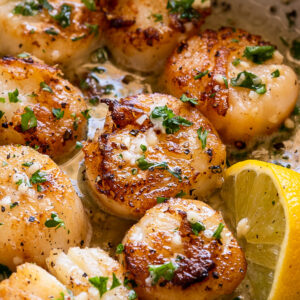 Garlic Butter Scallops with lemon