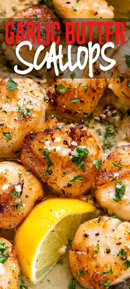 Seared Scallops Recipe with Garlic Butter