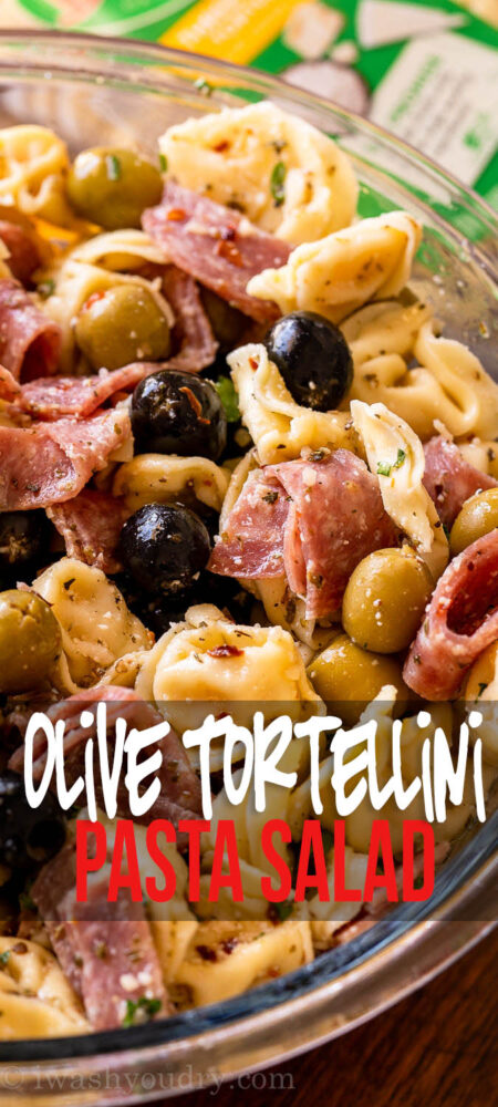 tortellini pasta salad recipe with olives