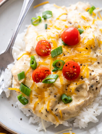 creamy chicken on white plate with tomatoes.