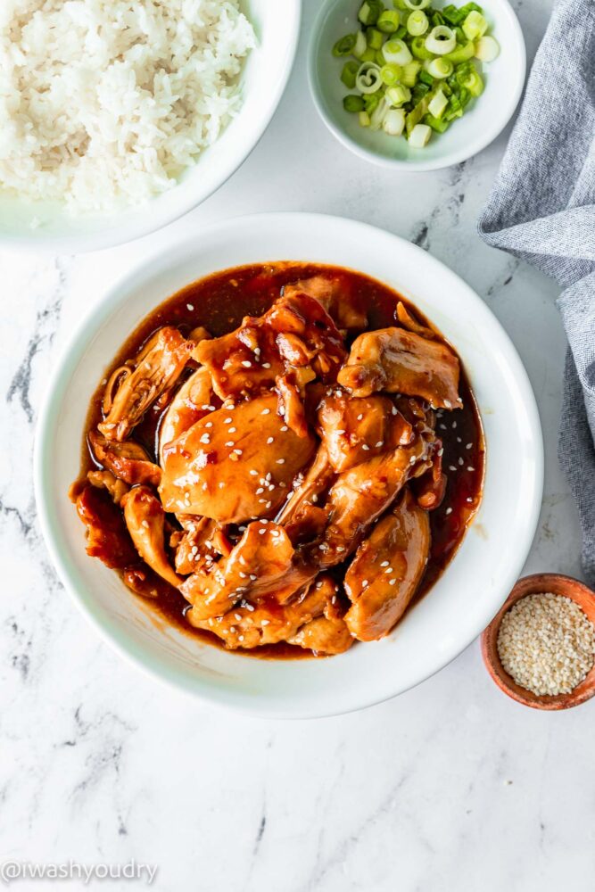 bowl of chicken with bowl of rice beside it.