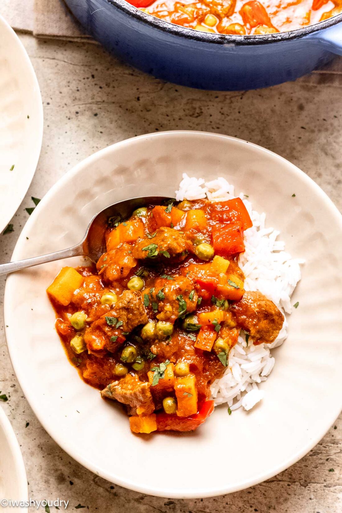 Curry Beef Stew on a bed of cooked rice on a white plate with metal spoon. 