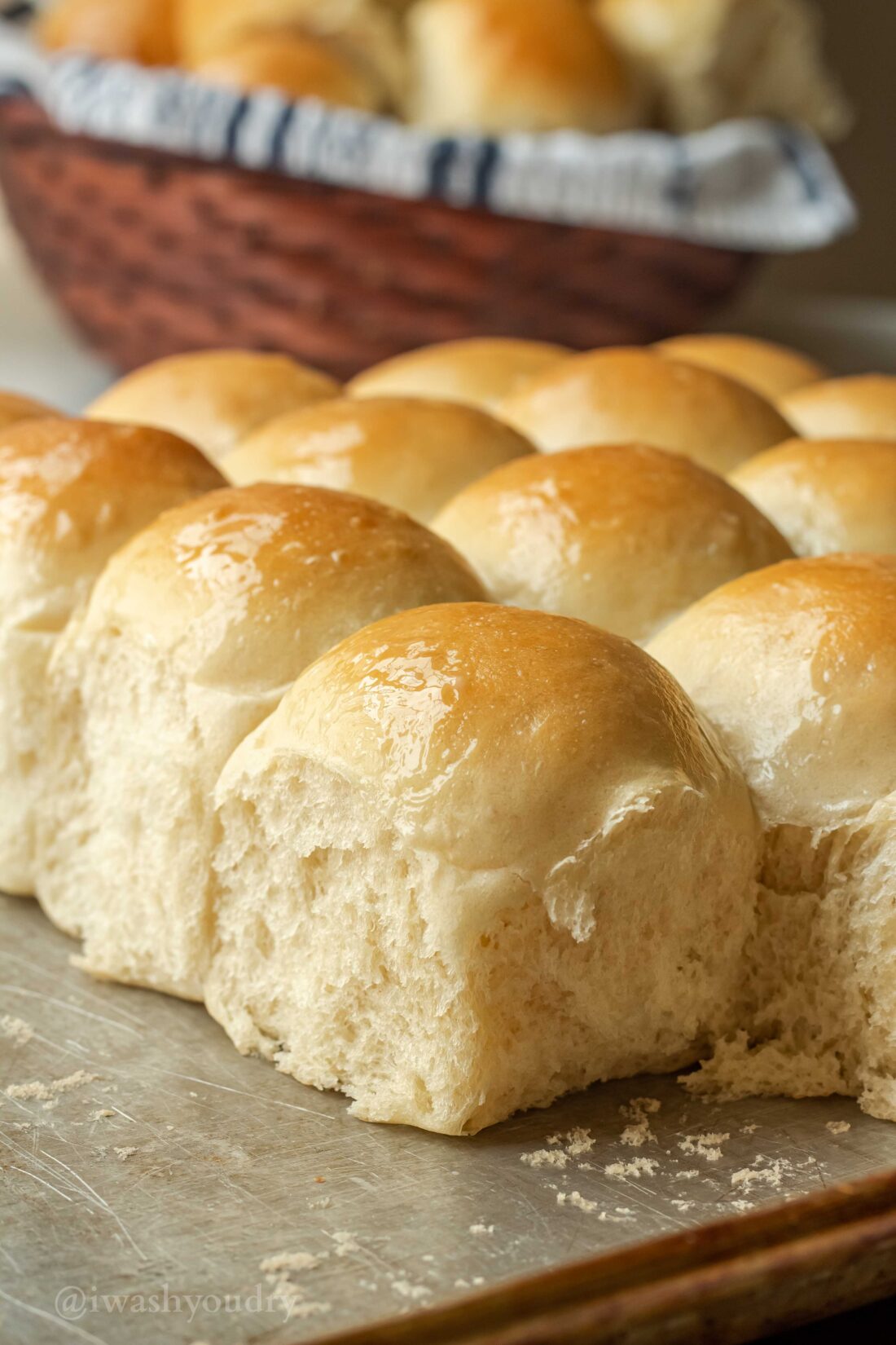 Baked dinner rolls in rows on metal pan. 