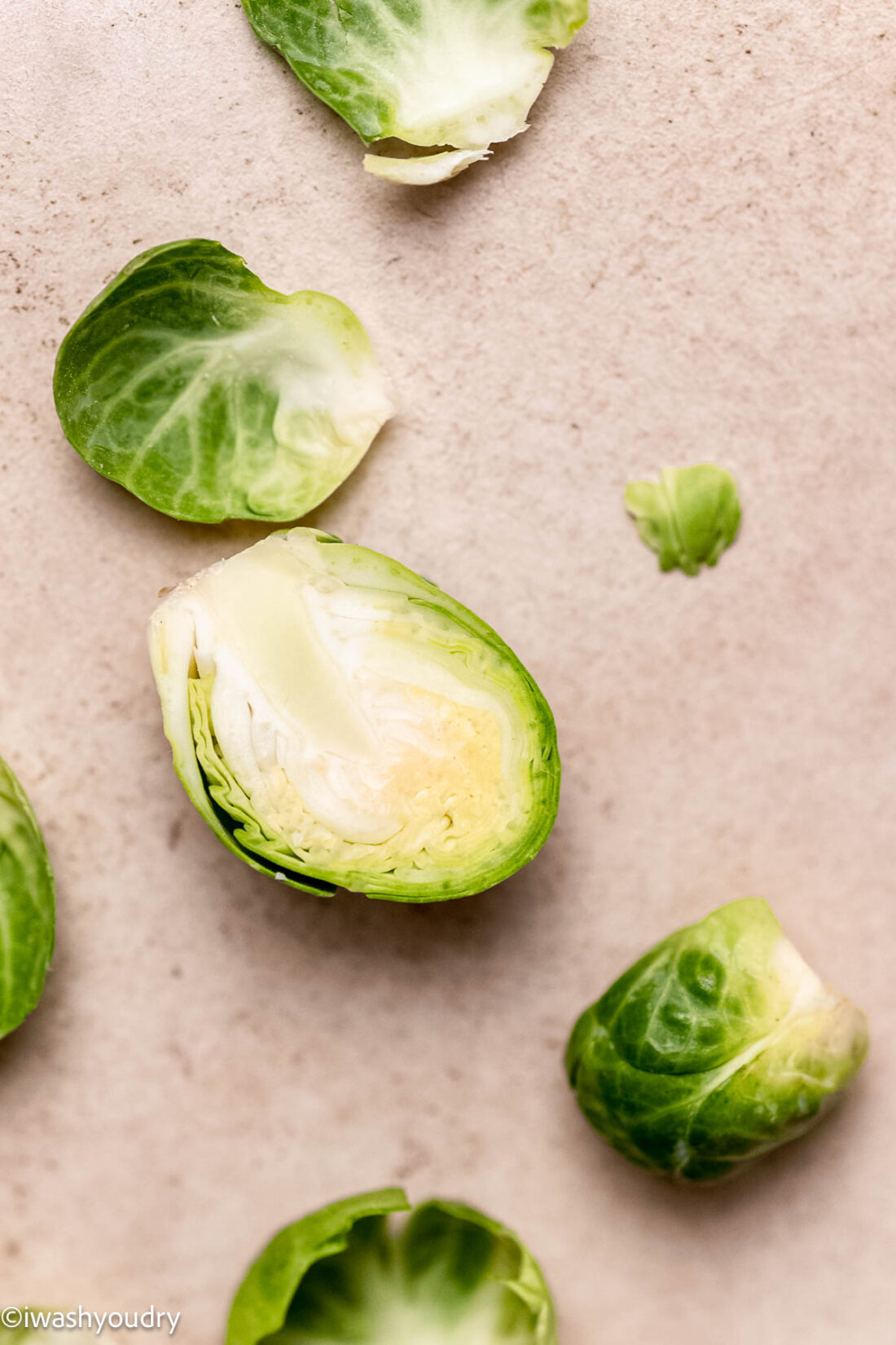 Raw brussels sprout cut in half with blemished peelings around. 