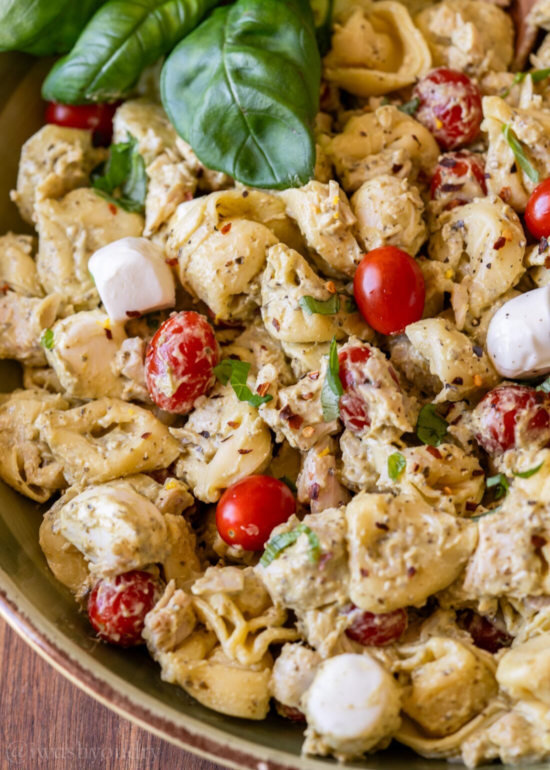 creamy tortellini pasta salad in bowl with mozzarella cheese.